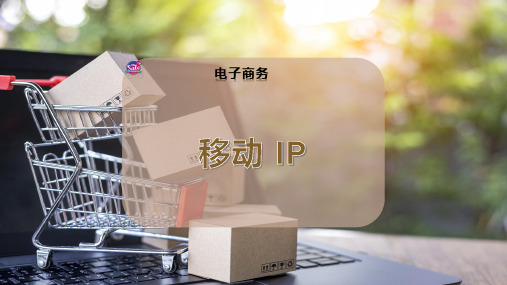 移动-IP