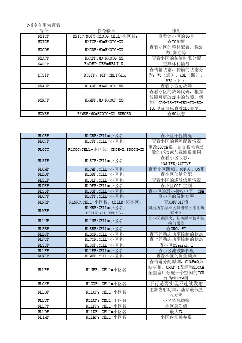 BSC指令行(P指令查看)