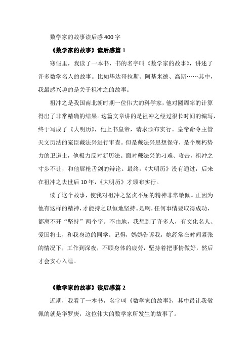 数学家的故事读后感400字