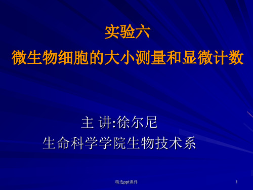 实验六、微生物细胞的大小测量和显微计数目