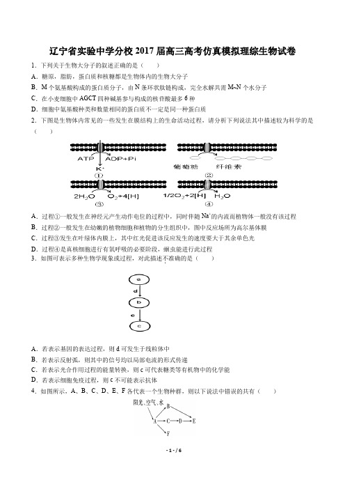 辽宁省实验中学分校高三高考仿真模拟理综生物试卷有答案