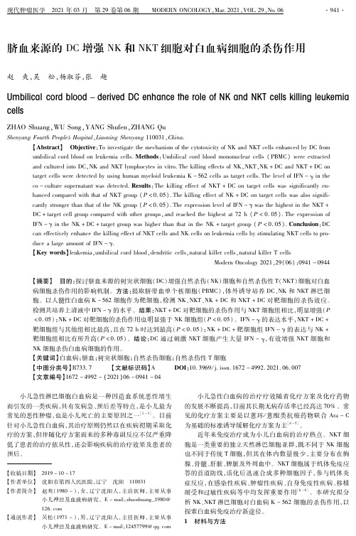 脐血来源的DC增强NK和NKT细胞对白血病细胞的杀伤作用