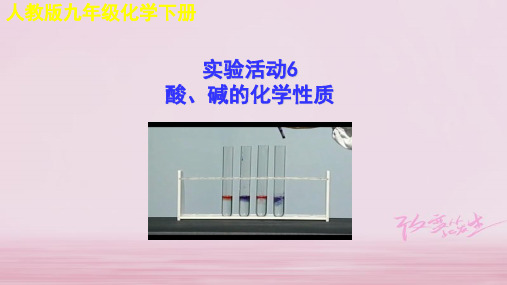 2019年秋九年级化学下册教学课件(苏教版)：实验活动6 酸、碱的化学性质(共16张PPT)