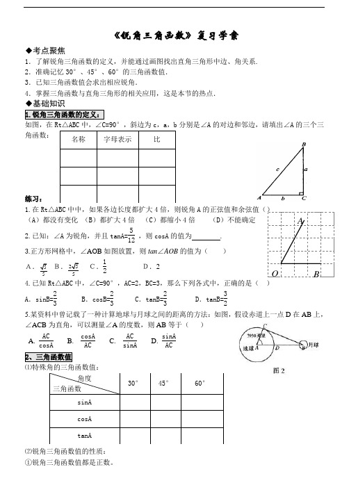 《锐角三角函数》复习学案(含答案)