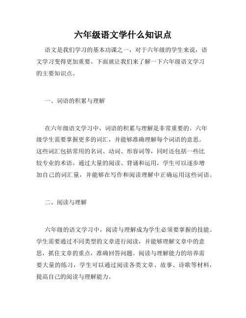 六年级语文学什么知识点