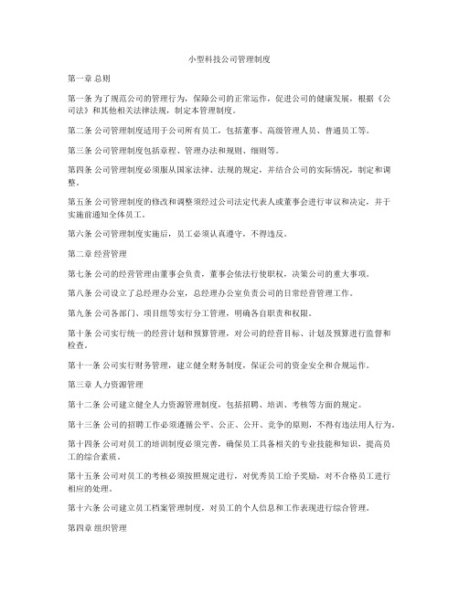 小型科技公司管理制度