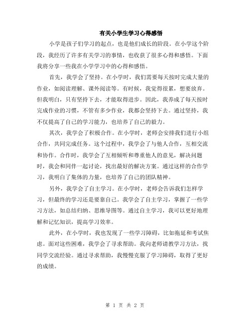 有关小学生学习心得感悟