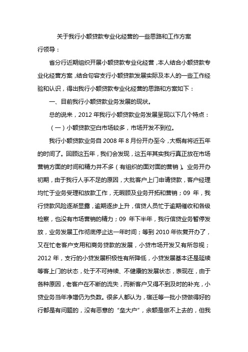 邮储小额贷款专营化方案-关于我行小额贷款专业化经营的一些思路和工作方案