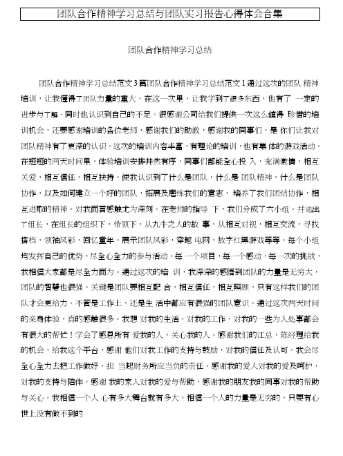 团队合作精神学习总结与团队实习报告心得体会合集.doc