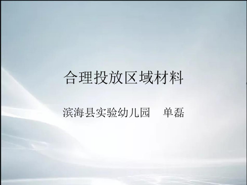 【精品】区域材料的投放.ppt