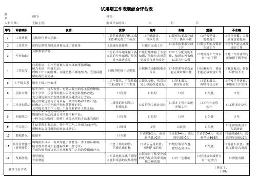 试用期工作表现综合评估表