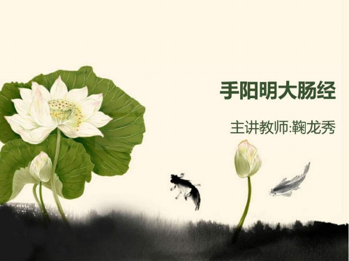 《手阳明大肠经》PPT课件