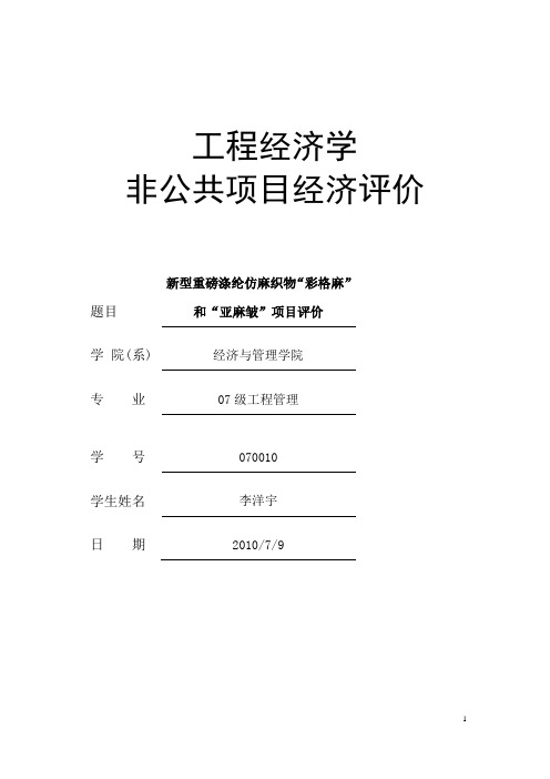 工程经济学大作业