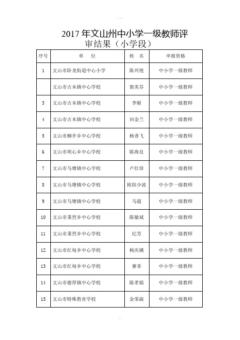 文山州中小学一级教师评