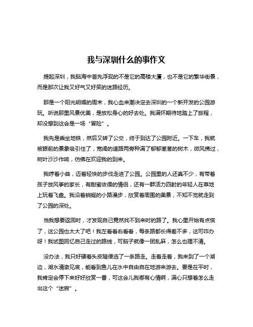 我与深圳什么的事作文