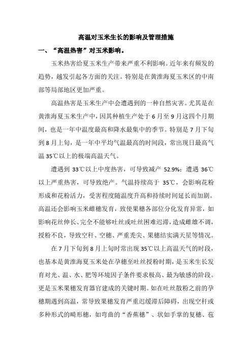 高温对玉米影响管理措施