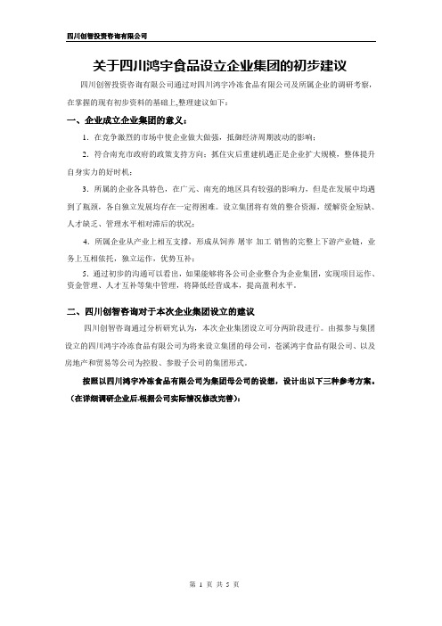 关于设立集团公司的建议