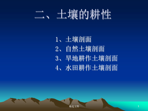 土壤的剖面全面.ppt