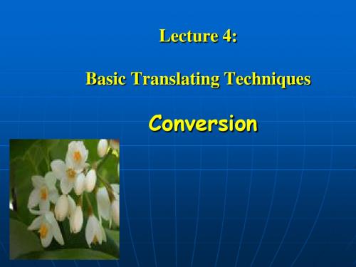 英译汉4 conversion