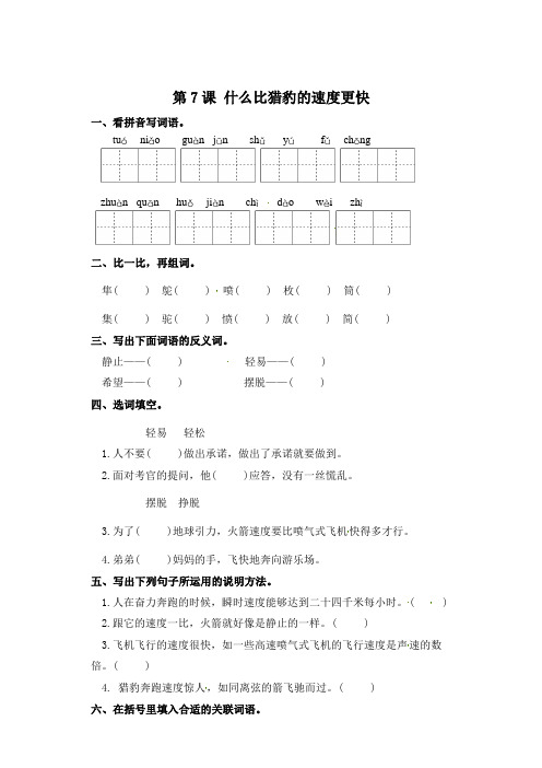 五年级上册语文一课一练-第7课 什么比猎豹的速度更快(含答案)