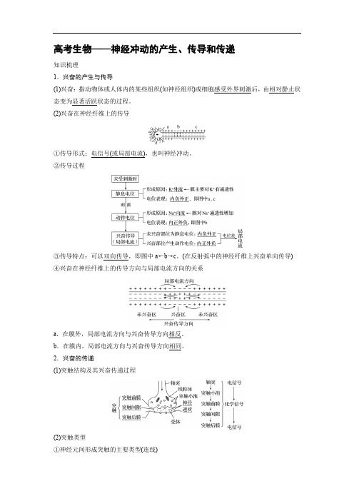 高考生物——神经冲动的产生、传导和传递