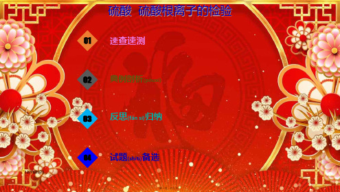 高考化学一轮复习考点2硫酸硫酸根离子的检验课件