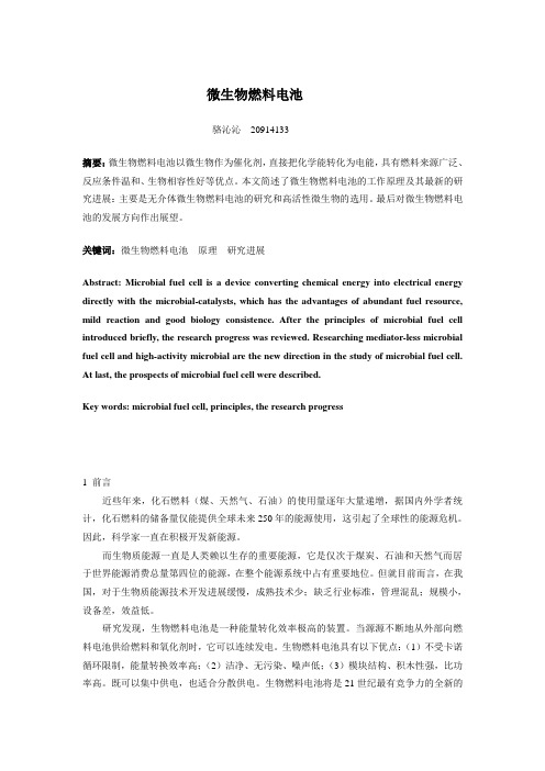 微生物燃料电池
