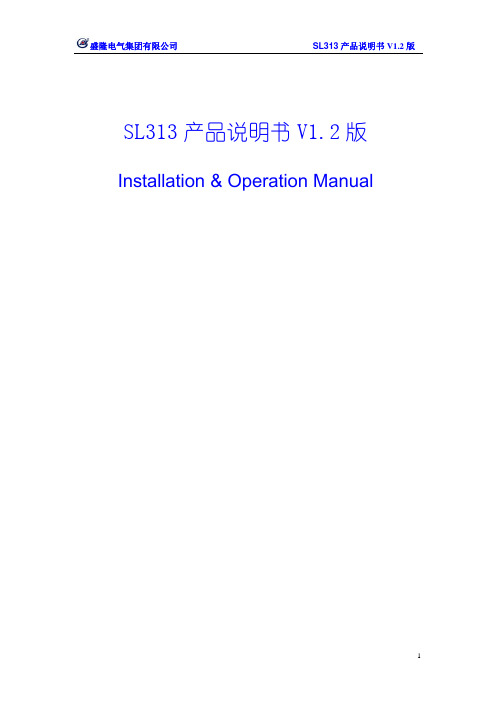 SL313网络多功能电力仪表说明书V1.2