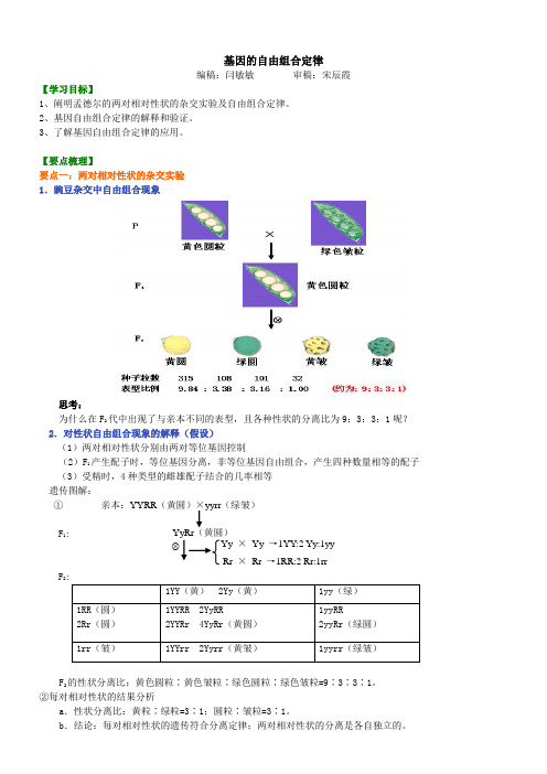 高中生物16基因的自由组合定律-知识讲解