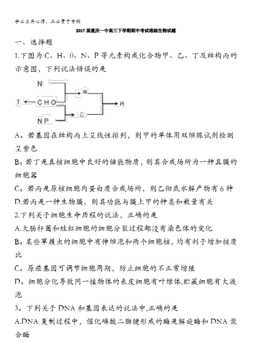 重庆市第一中学2017届高三下学期期中考试理综生物试题含答案