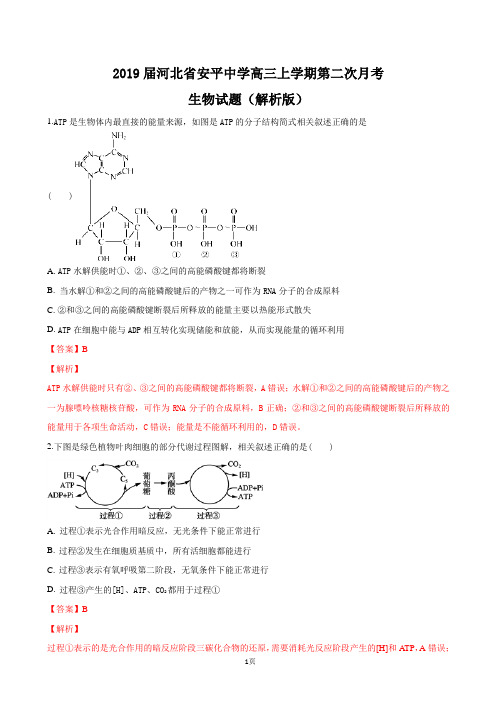 2019届河北省安平中学高三上学期第二次月考生物试题(解析版)