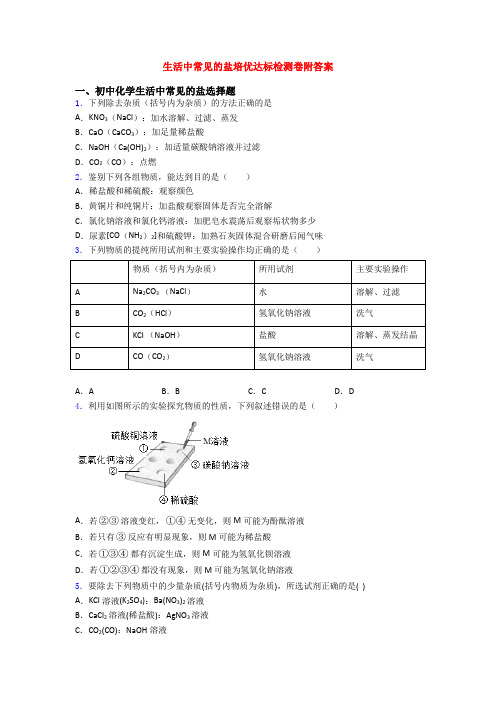 生活中常见的盐培优达标检测卷附答案