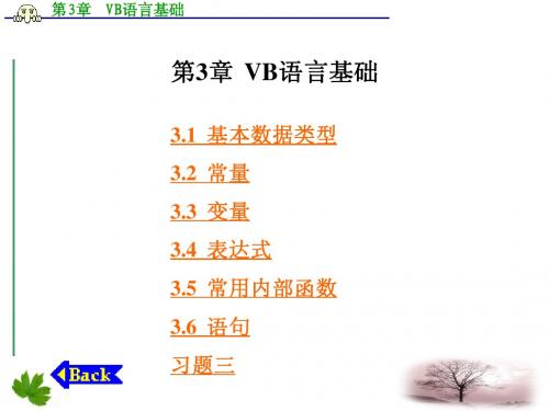 VisualBasic程序设计(第二版) 丁爱萍第3章  VB语言基础