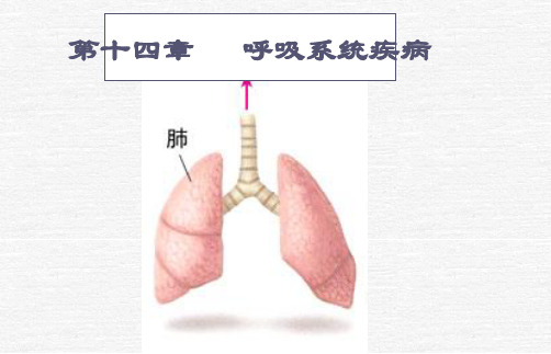 病理生理学呼吸系统疾病课件