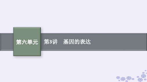 高考生物一轮总复习第6单元基因的本质与表达第3讲基因的表达新人教版