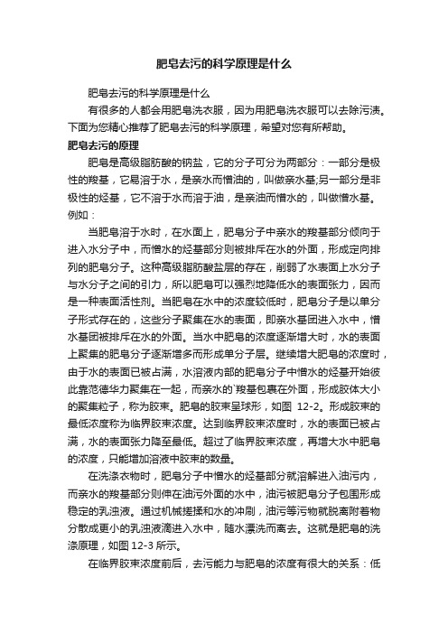 肥皂去污的科学原理是什么