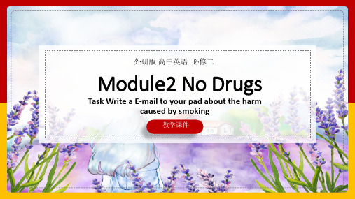 高中英语外研版必修二《Module2No Drugs WritingTask Write a E-m