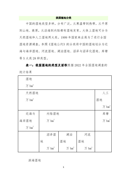 我国湿地分类