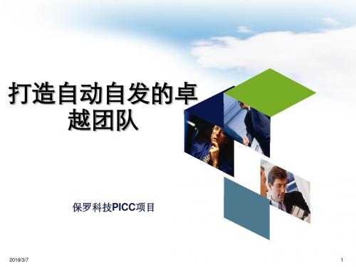 打造自动自发的团队概述(PPT28张)