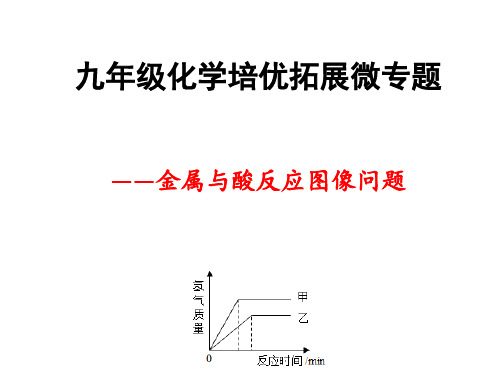 专题5   九年级化学培优拓展微专题——金属与酸反应图像问题精讲(课件)