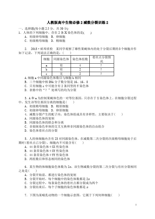 人教版高中生物必修2减数分裂训练2