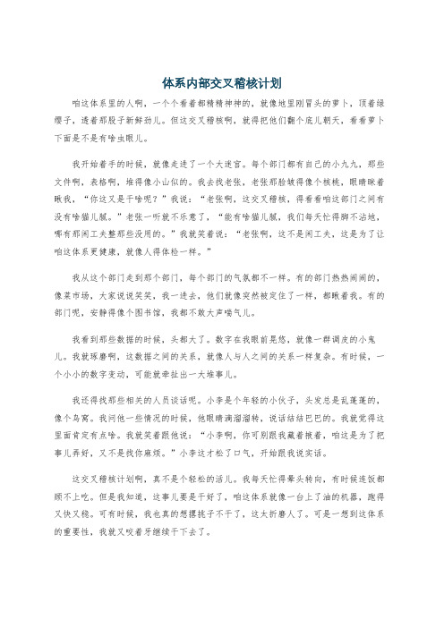 体系内部交叉稽核计划