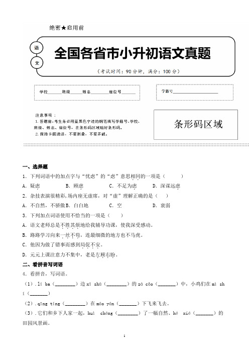 【小升初】2020年四川省眉山市小升初语文毕业会考试题含答案(全网唯一)