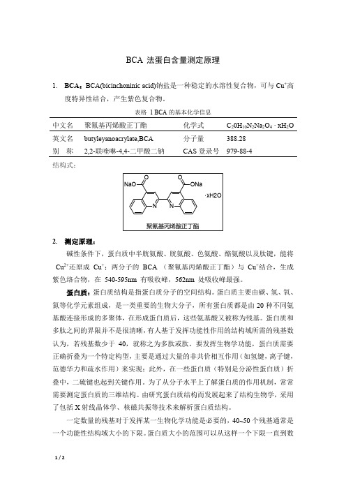 BCA 法蛋白含量测定原理