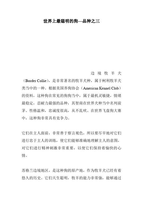 世界上最聪明的狗—品种之三