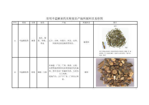 14种辛温解表药名称别名产地所属科目及彩图