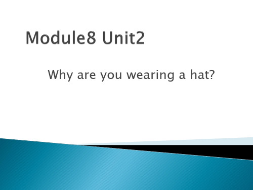 外研版(一起)六年级下Module 8 Unit 2《Why are you wearing a hat》ppt课件2