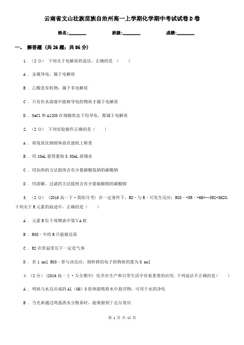 云南省文山壮族苗族自治州高一上学期化学期中考试试卷D卷(模拟)