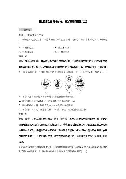 2021--2022学年   人教版    必修一细胞的生命历程 重点突破练(五)  作业