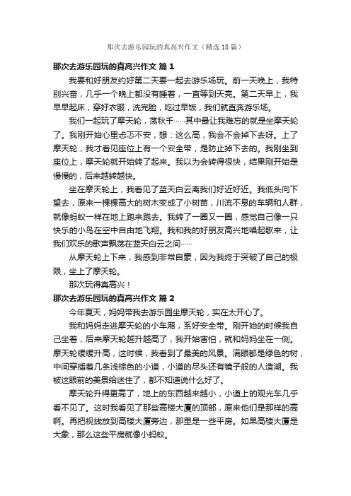 那次去游乐园玩的真高兴作文（精选18篇）